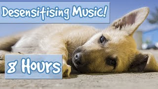 Desensitising Dog Music Music with Sound Effects to Desensitise Dogs to Noises Reduce Anxiety🐶💤 [upl. by Clem385]