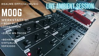 Moog Werkstatt01 Live Ambient Session  Effects Pedals [upl. by Lipinski920]