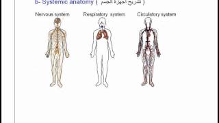 03Divisions Of Anatomy Anatomy Intro Dr Ahmed Kamal [upl. by Nollid]