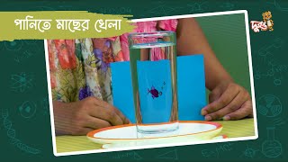 পানিতে মাছের খেলা  মজার ছলে বিজ্ঞান  ভুলোস্টাইন  দুরন্ত টিভি [upl. by Novled]