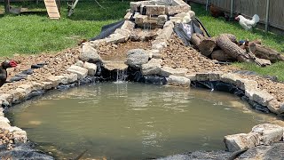 DIY Chicken amp Duck Pond  Backyard Homestead [upl. by Benetta]