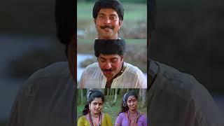 ഞാൻ തിന്നുകളയും 😋  Malayalam Movie Scenes  Mammootty [upl. by Nesnar]