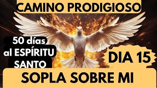 Día 15❤️🔥 CAMINO PRODIGIOSO con el Espíritu Santo SOPLA SOBRE NUESTRO SER DOMINGO 14 abril 2024 [upl. by Noj264]