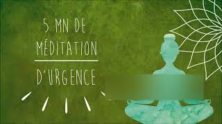 Méditation durgence  Crise dAngoisse dAnxiété Attaque de Panique [upl. by Ayhtak]