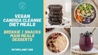 Vegan Candida Cleanse Diet Recipes and Meals for a Day [upl. by Doownel]