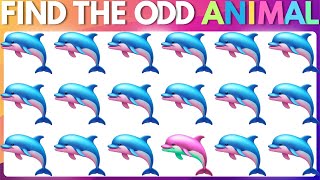 🦁 Animal Odd One Out Test Your Wildlife IQ 🐘 [upl. by Elwaine221]