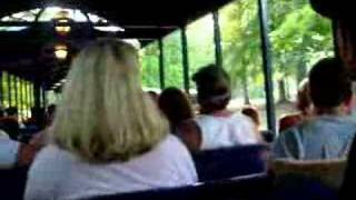 Busch Gardens Train Ride 81507 [upl. by Olimpia]