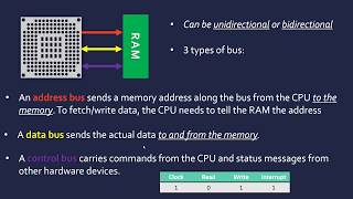 Address Data and Control Buses [upl. by Eirffej335]