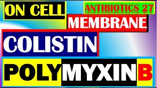 Colistin Polymyxin B Antibiotics Pharmacology Mechanisms Actions Resistance Part 27 [upl. by Lrub74]