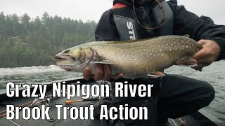 Crazy Brook Trout Action On The Nipigon River  Fishn Canada [upl. by Ranilopa]