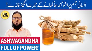 Ashwagandha Ke Fayde Ashwagandha Benefits For Men amp Women  Asgand  UrduHindi [upl. by Xila]