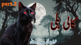 SCARY Kaali Bili  Horror Story Animated in UrduHindi  Part 2 [upl. by Ytsrik]