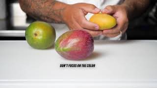 Choosing and Ripening Mangos [upl. by Lagiba]