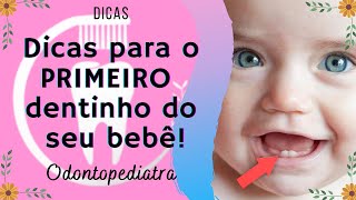 Dicas para o PRIMEIRO dentinho do seu bebê [upl. by Lede]