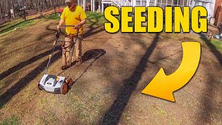 Planting Grass seed  Reseeding Lawn  Overseeding [upl. by Quartis]