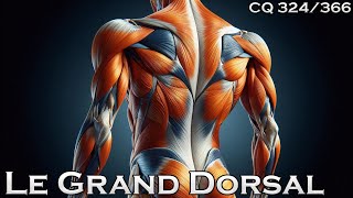 Anatomie du Muscle Grand Dorsal  CQ324 [upl. by Lleon]