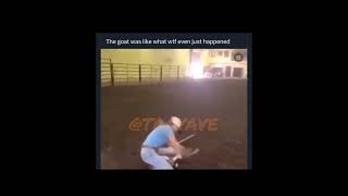 Goat like what happened viral animals [upl. by Sluiter501]