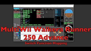 MultiWii Walkera Runner 250 Advance [upl. by Dammahom]