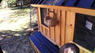 Rated 1 Chicken Coop Part 2 solar tour design upgrade tips [upl. by Acinnad720]