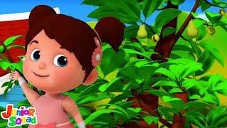 I Had A Little Nut Tree  More Cartoon and Rhymes for Toddlers [upl. by Batruk]