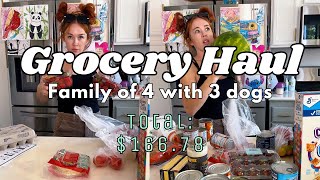 GROCERY HAUL FAMILY OF 4 with 3 dogs  GROCERY HAUL VLOG STYLE [upl. by Llerod]