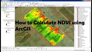 How to generate a NDVI layer in ArcGIS  How to calculate NDVI using ArcGis [upl. by Topliffe]