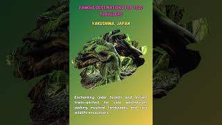 Discovering Yakushima Solo Adventures in Japans Enchanted Forests travel europe travellife [upl. by Elleon544]