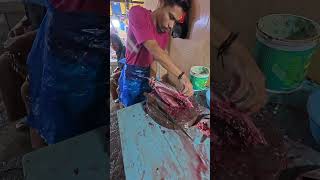 Fillet every fish like a professional chef fish tunasteak fishfillet shorts fishcutting [upl. by Harelda]