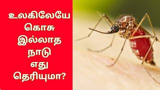 கொசு இல்லாத நாடு எது class 12 zoologyKosu illadha nadu2 mark question [upl. by Suellen]