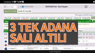 8 Ekim 2024 Salı Adana at yarışı tahminleri Adana altılı ganyan tahminleri  Oğulcan Karaca [upl. by Lamonica]