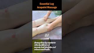 Essential Leg Acupoint Massage legmassage acupointtherapy calfpainrelief physicaltherapy [upl. by Philly]