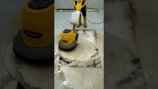 Carpet cleaning satisfying video viral satisfyingvideo viralshort [upl. by Nolte]