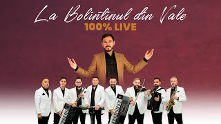 Orchestra Luminii ❌ David Constantin  La Bolintinul din Vale COVER  LIVE [upl. by Amo]