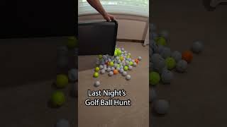 Golf Ball Hunting golf golfshorts golfballs shorts [upl. by Tichonn]