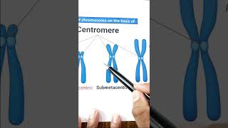 1 मिनिट मे Concept याद 🤩 Principle of inheritance and variation class 12  Types of Chromosome [upl. by Lowrie810]