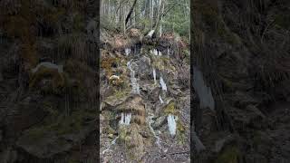 Small Waterfall Near Mabel Lake BC shorts [upl. by Aneehsram]