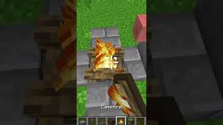 JUNGLE BBQ Madness in Minecraft [upl. by Craddock]