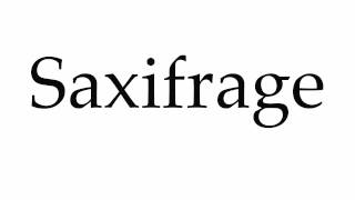 How to Pronounce Saxifrage [upl. by Irmo]