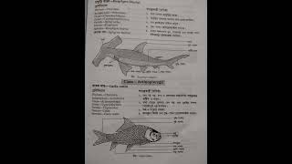 Biology 2nd paper practicalHSC 2022Biology [upl. by Schrader274]