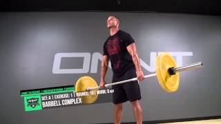 Full Body Animal Strength Workout [upl. by Ahseined]