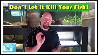 How to Lower Nitrites in an Aquarium [upl. by Eerehc]