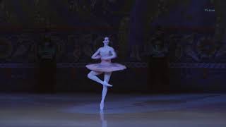 オダリスク・パ・ド・トロワ、第3オダリスク「海賊」キエフバレエ団Odalisque Pas de Trois 3rd Odalisque quotLe Corsairequot Kiev Ballet [upl. by Fulmer445]