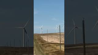 Alta wind farm reelsbauhausvlog [upl. by Cowen]