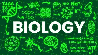 BIOLOGY explained in 17 Minutes [upl. by Yaker]