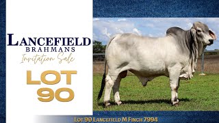 Lot 90 Lancefield M Finch 7994 [upl. by Jacquelin]