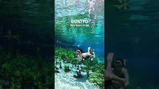 Bonito Mato Grosso do Sul O melhor destino de ecoturismo do Brasil 🐟💜 bonitoms ecoturismo ms [upl. by Irac]