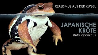 Japanische Kröte  Azuma Toad  Bufo japonicus  realistisches Modell  Gashapon Unboxing amp Review [upl. by Acus853]