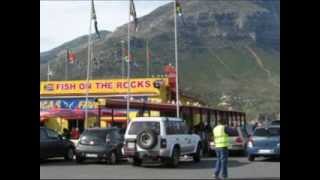 Shark breaching capital of the world Hout Bay South Africa [upl. by Ive574]