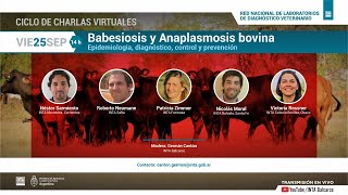 Babesiosis y Anaplasmosis bovina Epidemiologia diagnóstico control y prevención [upl. by Marras503]