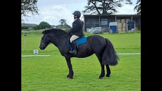 Betsy  Fun Smart Cob Mare [upl. by Aitital]